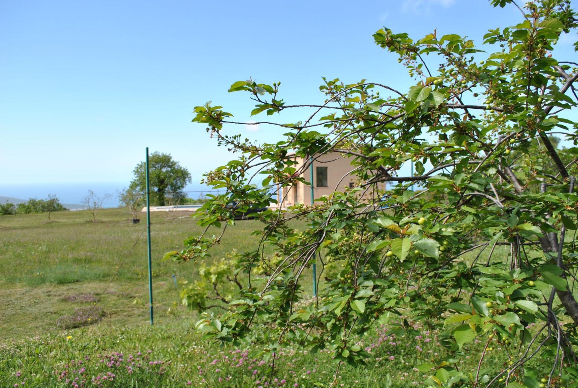 Country Home Dolac 巴尔 外观 照片